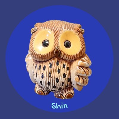 Shin13152's profile picture. 家族との時間を大切にし、趣味や創作を楽しんでます🙂
仕事は依頼されたら少しだけやってます😎
🚫DMは特別な場合のみで普段は使ってません
note▶https://t.co/25d2HucmEs