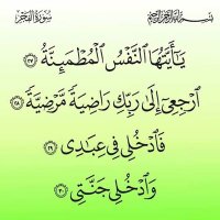 ashraf (@ashraf1516) 's Twitter Profile