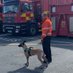 HWFireUSARK9 (@hwfireusark9) Twitter profile photo HWFireUSARK9 (@hwfireusark9) Twitter profile photo