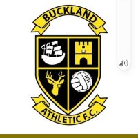 Buckland Athletic Juniors(@Bucklandjuniors) 's Twitter Profileg