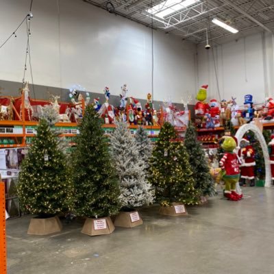 Eduardo Vega Profile