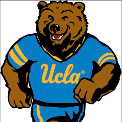 UCLA fan