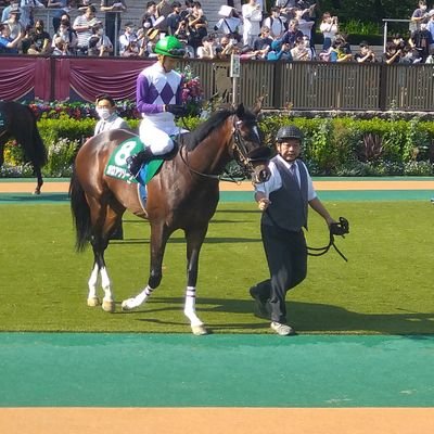 推しウマ🐎ガロアクリーク😃
新馬戦のパドックで初めて見てから追っかけ続けG2フジテレビ賞スプリングステークスの走りを観てガロアクリーク好きに😍
🍀上原厩舎を応援してます🍀
たまに競馬以外のことも呟きます😚
無言フォロー失礼致します🙇