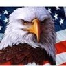 dougd39_doug's profile picture. A life worth living for and preaching Christ