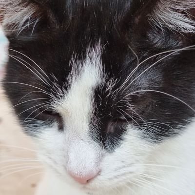 TamarLeat131's profile picture. Life gets complicated... keep up! 😄