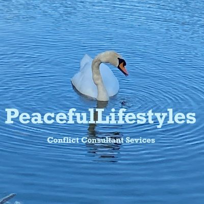 #PeacefulLifestyles offers conflict transformation services through training, coaching, peace education and mediation services. https://t.co/OpUTxhTVbG