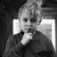 KAPTIN (@feddez_) 's Twitter Profile