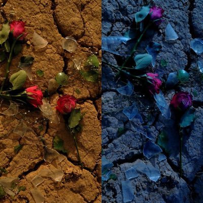 Hhkk501's profile picture. 