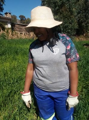 NyazikaPearl's profile picture. Reaching new heights