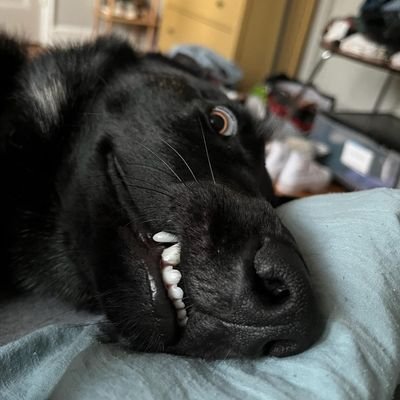 HughlanderM's profile picture. COUNTRY QOWBOY