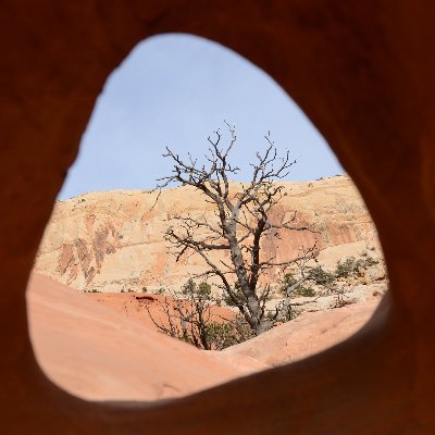 ArioSmarten's profile picture. 
