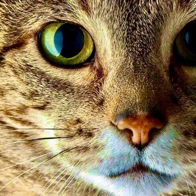 cercando84's profile picture. #Bitcoin Fan ...!!! 😁⚡🇬🇹
⚡luiszamora@blink.sv