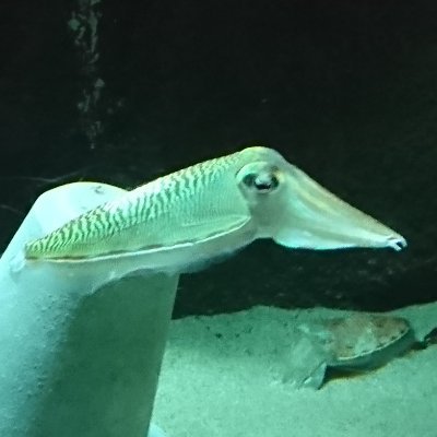 ぶるじょわさんのプロフィール画像