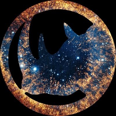 HorukTaras's profile picture. Ukrainian