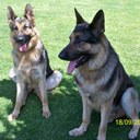 Christopher Yuen - @anjingbella - Twitter