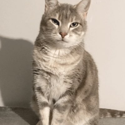 Deadg63's profile picture. Si tu me saoul pas, tout se passera bien 😅🤣!