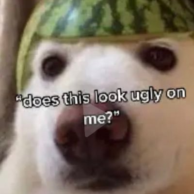 xxaerci's profile picture. .