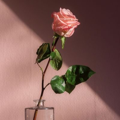 👈عشق صیدیست، که تیرت به خطا هم بررود، لذتش تا به ابد کنج دلت خواهد ماند👉❤️🔥❤️🔥❤️🔥