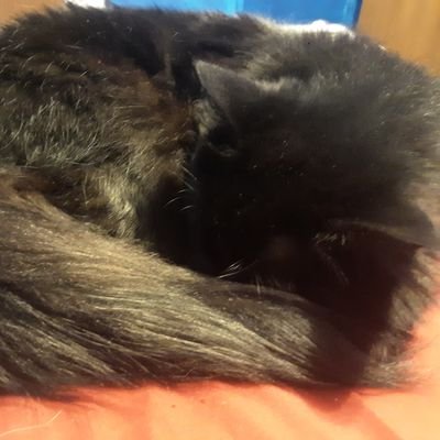 Random_Lego_Fan's profile picture. I post my mocs and lego creations