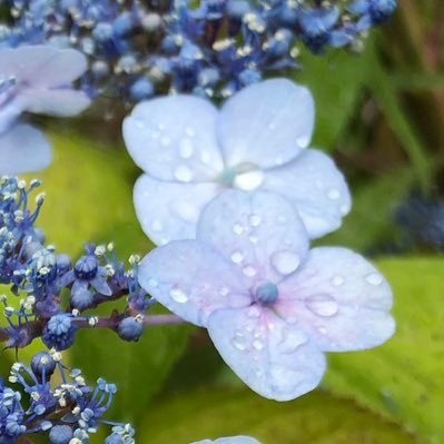 書を学んだり教えたりする人🌱 ✏硬筆書写検定1級 (準1合格時🥉)/毛筆書写検定1級(1級合格時🥇) ⌬薬剤師💊 食生活指導士®1級🍴 書写関連のボランティア等お声がけください🌸 無言フォロー失礼いたします🙇‍♀️