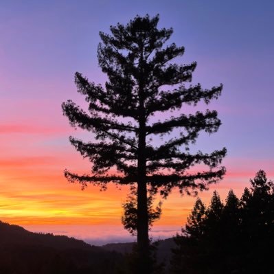 A Sunset a day from a home in the Bay