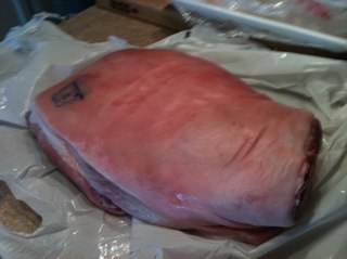 BSMichalski's profile picture. 