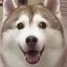 Sixy (@sixy_ow) 's Twitter Profile Photo Sixy (@sixy_ow) 's Twitter Profile Photo