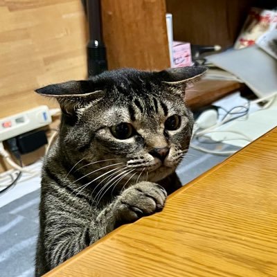 NAMBA3228's profile picture. 1994年生まれです。呪術廻戦腐垢、HQ腐垢、MHA腐、dcst腐沼がメインです。呪術廻戦0で死に際の夏油傑に沼落ちしました。最近は🚬✖️に浸かってます。