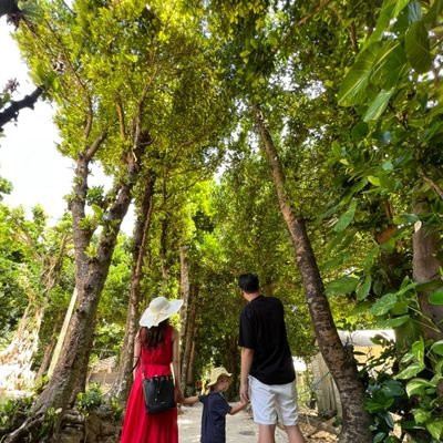 saki_webdesign's profile picture. 2022.10月からWedデザイン勉強START
わんぱく2歳児絶賛子育て中

好きな物
動物全般🐶・ガーデニング🌼・漫画読書📖

気軽にフォローして下さい💕
無言フォロー失礼します🙏

#CF #クリエーターズファクトリー