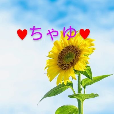 chayuさんのプロフィール画像