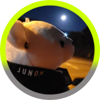 珠里(@junsyu23) 's Twitter Profile Photo