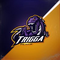TriggaPlays 🖤🦁 (@triggaplays) 's Twitter Profile Photo