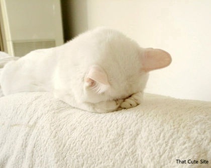 onelast32's profile picture. 