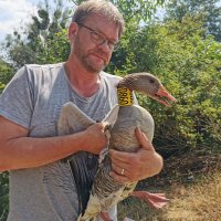 Helmut Kruckenberg (@helmutkruckenb) 's Twitter Profile