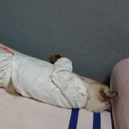 fxxkxxxnice's profile picture. 