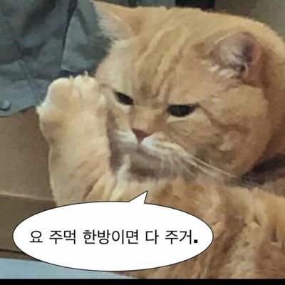 병신 보지년 (@jeonseoi13) / Twitter 병신 보지년 (@Jeonseoi13) / Twitter