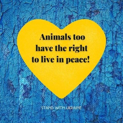 let's join hands together and help innocent suffering souls. Animals also need good life like humans . Help today and forever.  STAND WITH UKRAINE 🇺🇦🇺🇦