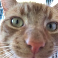 Butch Catiddy (🌈Rog & Sundance) (@cabincutey) 's Twitter Profile Photo Butch Catiddy (🌈Rog & Sundance) (@cabincutey) 's Twitter Profile Photo