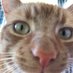 Butch Catiddy (🌈Rog & Sundance) (@cabincutey) Twitter profile photo Butch Catiddy (🌈Rog & Sundance) (@cabincutey) Twitter profile photo