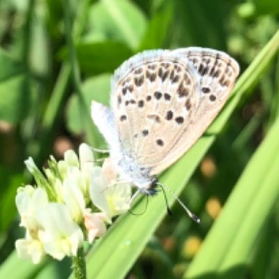 Kwp9F9I8edq5sZM's profile picture. 