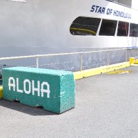 ALOHA🍌横浜 (@viorangen) 's Twitter Profile