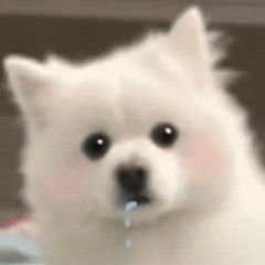 tebiedaren's profile picture. 找个没人认识的地方发点牢骚