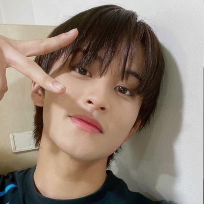 caratzen • lowkey deobi • was ace_sungchan • she/her
#마크 #재민 #조슈아
