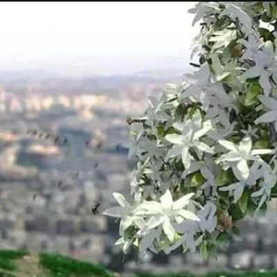 Mohamad200230's profile picture. 