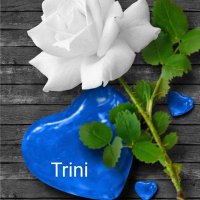 Trini 🎧🎶🖊️💄🤘🏻🎸🌹🌼 🌷💙💜🖤🫶🏻(@TriniFernan) 's Twitter Profile Photo