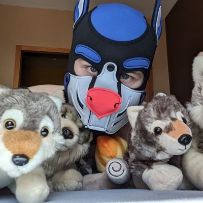 Nsfw 18+ |27|austria 🇦🇹
Hey I'm fluffy wraff :o
a bit shy sometimes but also a naughty puppy
Sfw furry account @FlauscheWolf
AD furry @naughtyfloofer