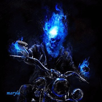 steveb3829's profile picture. 