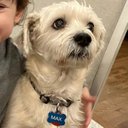 juls ♪♫ - @BroderickReed10 - Twitter