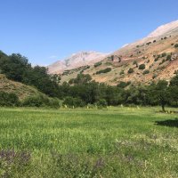 Kaan Darende (@kaandarende) 's Twitter Profile