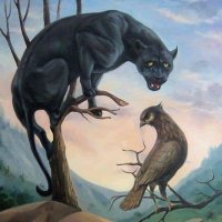 BhuviDhal (@bhuvidhal) 's Twitter Profile